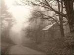 Parish Hill Road by Christine Triebert