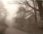 Parish Hill Road by Christine Triebert