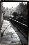 Parisian Walkway I by Laura Denardo