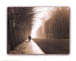 Park at Versailles by Connie Wellnitz