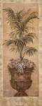 Parlor Palm II by Pamela Gladding
