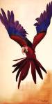 Parrot by David Bromstad