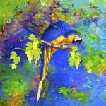 Parrot And Colors by Ata Alishahi