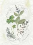 Parsley & Sage by Elissa Della-Piana