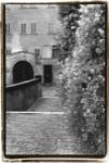 Passing through Prague II by Laura Denardo