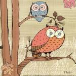 Pastel Owls I - mini by Paul Brent