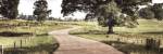 Path to a Perfect Place by Todd McPhetridge