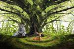 Peaceful Life by Ata Alishahi