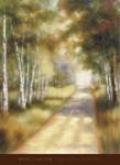 Peaceful Passage by Marc Lucien