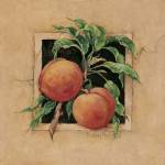 Peach Square by Barbara Mock