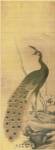 Peacock by Yanagisawa Kien