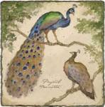 Peafowls by Betty Whiteaker