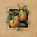 Pear Square by Barbara Mock