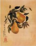 Pears by Suzanna Mah Fong