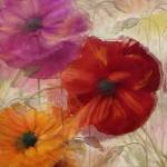 Penchant For Poppies I by Color Bakery