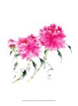 Peonies in Pink III by Nan Rae