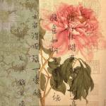 Peony by Paula Scaletta