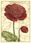 Peony Passion I by Johan Theodore De Bry