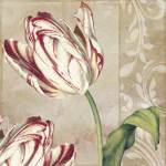 Peppermint Tulips I by Color Bakery
