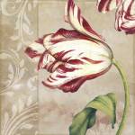Peppermint Tulips II by Color Bakery