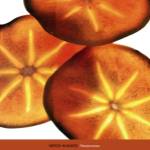 Persimmon by Mitch Hughes