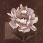 Petal Soft I by Carol Robinson