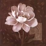 Petal Soft II by Carol Robinson