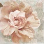 Petals Impasto I by Color Bakery