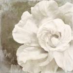 Petals Impasto II by Color Bakery