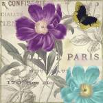 Petals of Paris II by Color Bakery