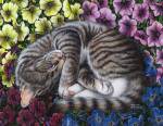 Petunia by Marilyn Barkhouse
