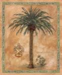 Phoenix Canariensis by Betty Whiteaker