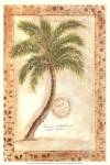 Phoenix Date Palm by Marianne D. Cuozzo