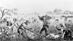 Picking Cotton on a Southern Plantation