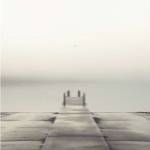 Pier and Seagull by Nicholas Bell
