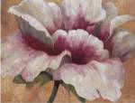 Pink Begonia by Maria Torróntegui