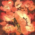 Pink Poppies II by Dusty Knight