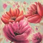 Pink Poppy Bloom by Anthony Christou