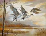 Pintails by Ruane Manning