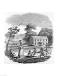 Plantation Scene