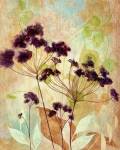 Plum Silhouette I by Tava Studios