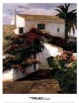 Poch Romeu - Courtyard Blossoms Size 13x18 by Poch Romeu