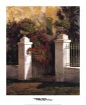 Poch Romeu - Jardi Colonial Size 27.556x34.25 by Poch Romeu