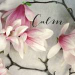 Poem Crop Calm by Alicia Bock