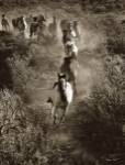 Poetry in Motion by Barry Hart