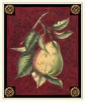 Poire D'Arenburg by Pierre-Joseph D'avoine