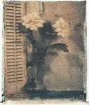 Polaroid Vases Flower by Laurie Fields