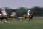 Polo match in progress