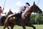 Polo nearside swing