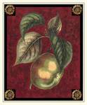 Pomme De Canada by Pierre-Joseph D'avoine